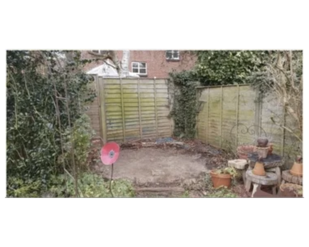 a backyard with a fence and plants