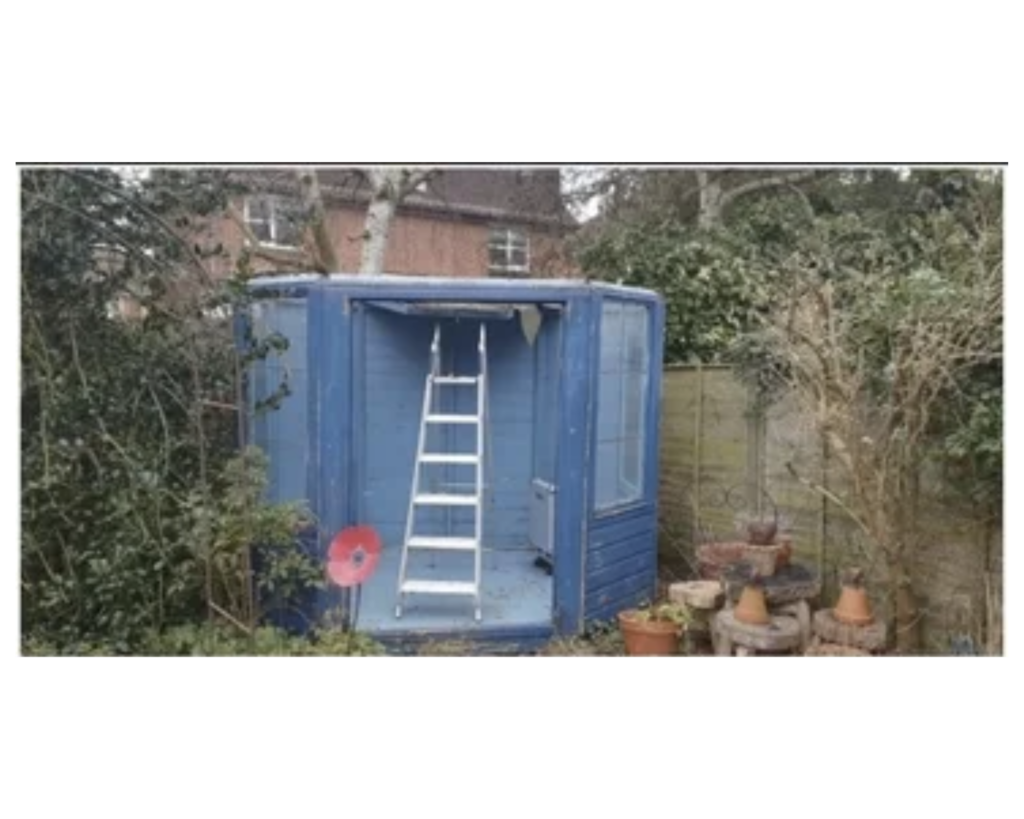 a blue shed with a ladder in the back