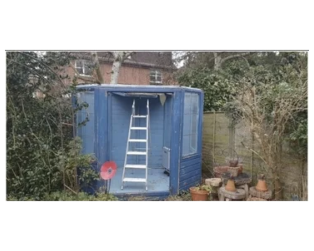 a blue shed with a ladder in the back